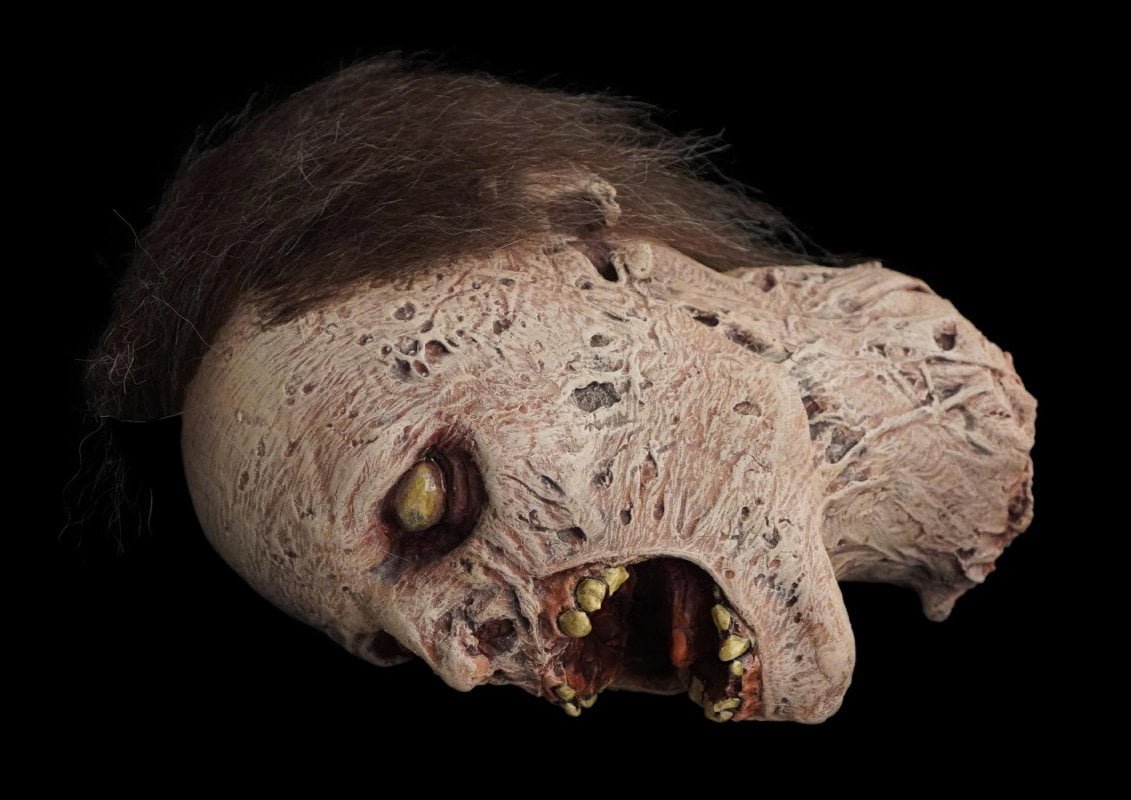 "Zombie Head" HD Studios Halloween Prop