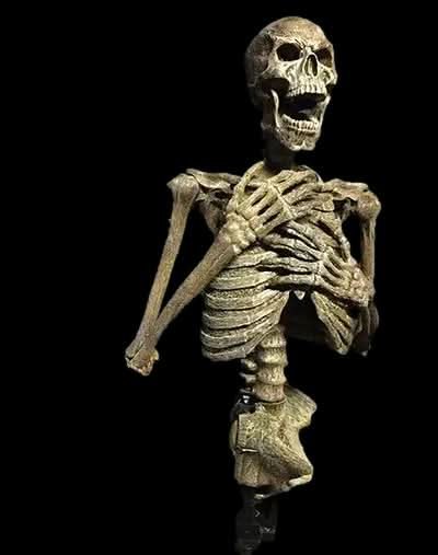 "Dead Rising" Skeleton Halloween Animatronic