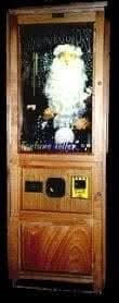 "Merlin" Animatronic Fortune Teller Machine
