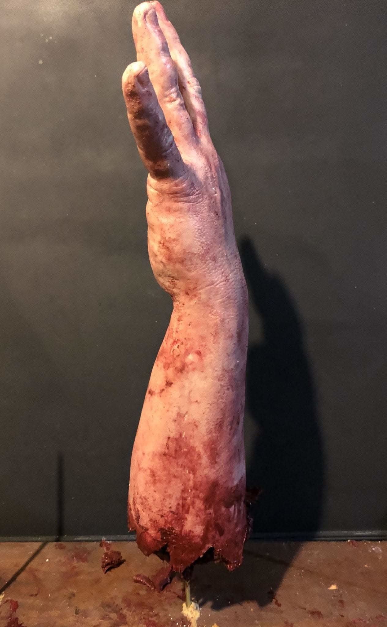 "Shark Bite Silicone Arm" Bloody Body Part Prop